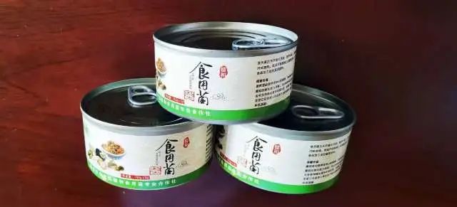 黑平菇种植技术视频_如何种植平菇视频教程_种平菇的视频