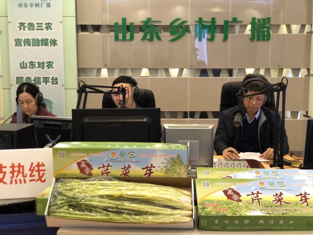 种平菇的视频_如何种植平菇视频教程_黑平菇种植技术视频