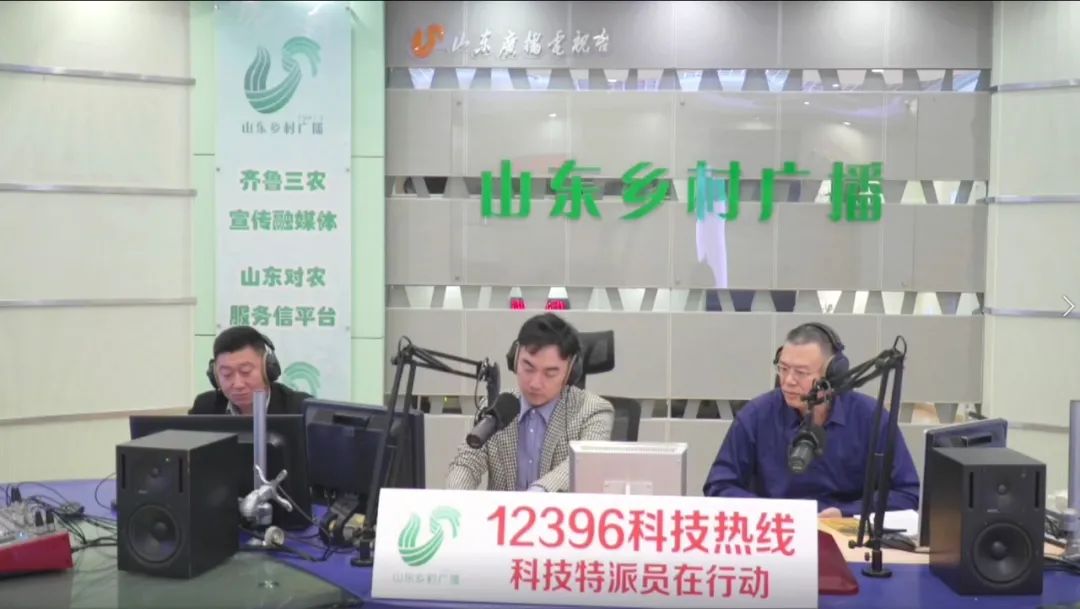 种平菇的视频_黑平菇种植技术视频_如何种植平菇视频教程