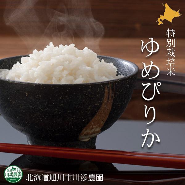 日本葡萄栽培_日本种植葡萄技术_曰本葡萄种植新技术