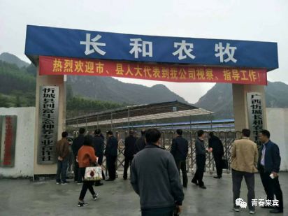 养殖致富路有哪些项目_致富经养殖业_致富之路养殖业事例分享