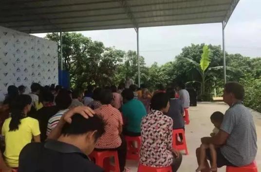 致富种植农业故事简介_致富种植农业故事视频_农业致富种植故事