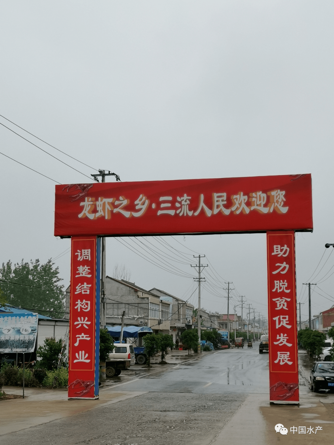 致富养殖案例特色有哪些_特色养殖致富案例_致富养殖好项目大全