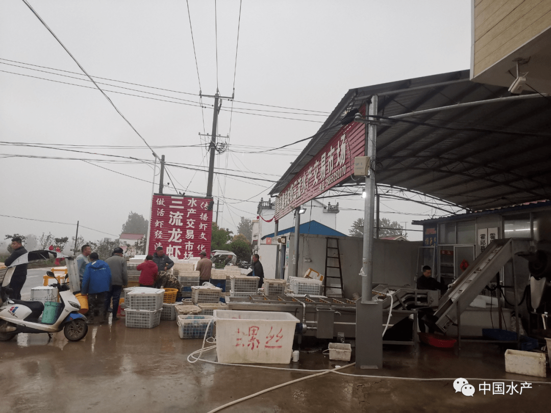 致富养殖案例特色有哪些_特色养殖致富案例_致富养殖好项目大全