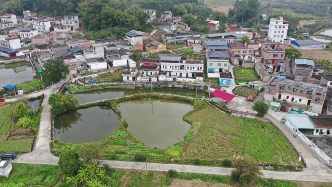致富经兰花种植视频_兰花致富经_致富种植兰花