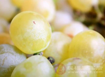 提子的种植技术_种植提子怎样管理_种植技术提子视频教程