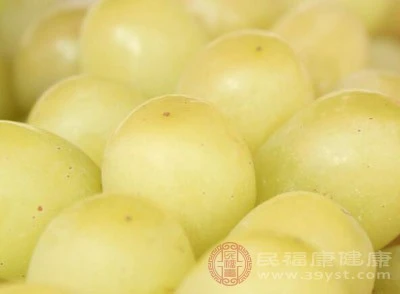 种植提子怎样管理_提子的种植技术_种植技术提子视频教程