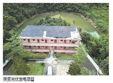 种植独脚金致富_农村种植什么能致富_种植食用菌致富