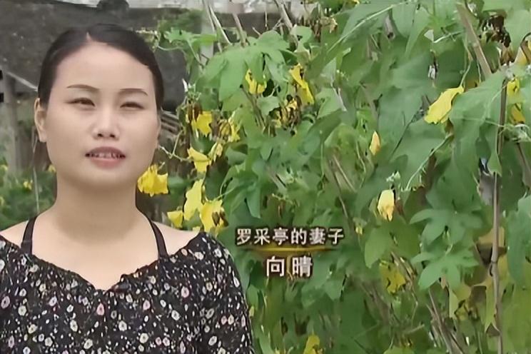 致富经蛇王姐姐_致富经蛇王姐姐险中求富_致富姐姐蛇王小说