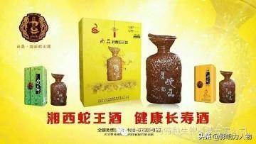 致富经蛇王姐姐险中求富_致富姐姐蛇王免费阅读_致富经蛇王姐姐