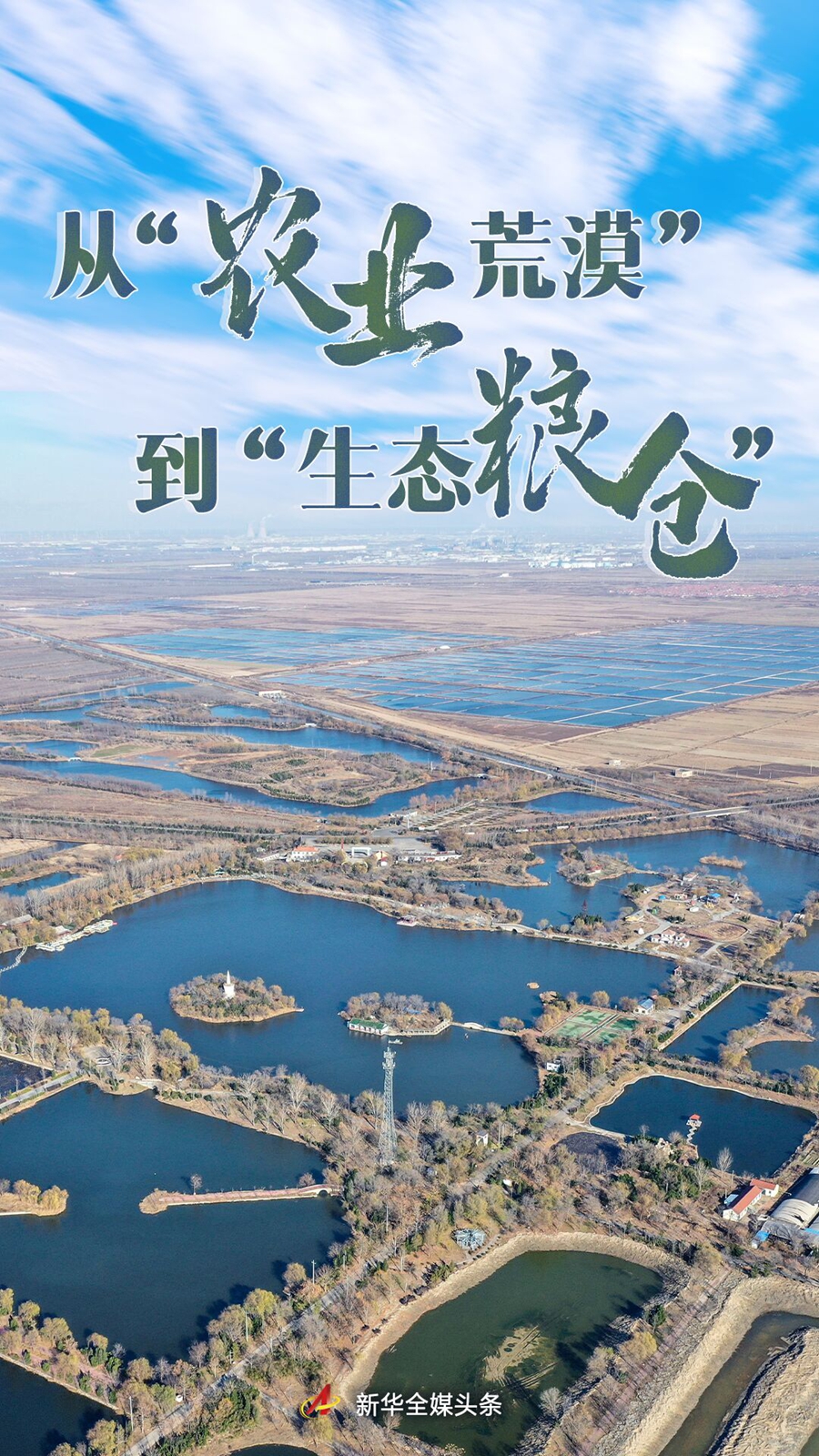 从“农业荒漠”到“生态粮仓”——渤海之滨盐碱地变身记