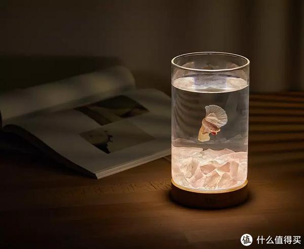 斗鱼养殖致富_养殖斗鱼赚钱吗_致富经中国斗鱼养殖视频