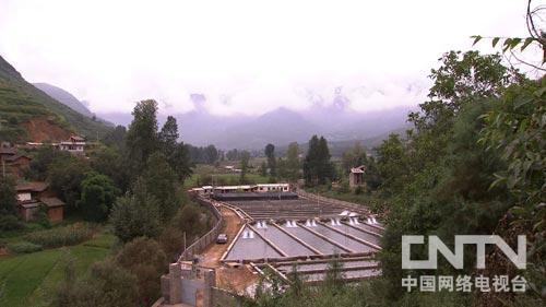养虹鳟鱼赚钱吗_养殖虹鳟鱼利润怎么样_致富经养虹鳟鱼视频