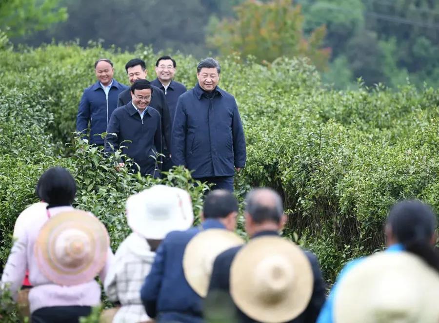 脱贫一线党旗红——抓党建促脱贫攻坚述评