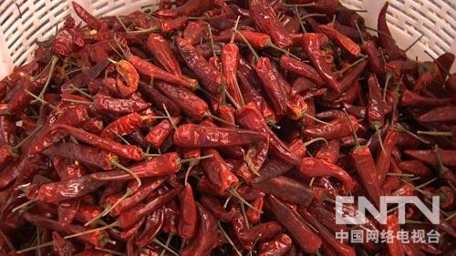 女子种植致富_种植致富经视频_种植致富案例