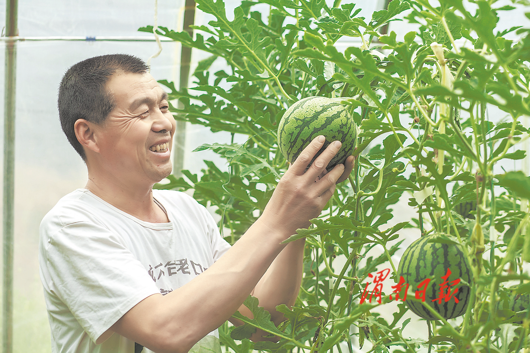 “香瓜哥”的致富经