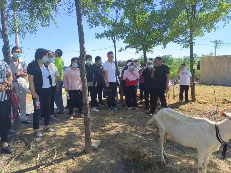 登封植树基地_种植致富经_登封种植致富
