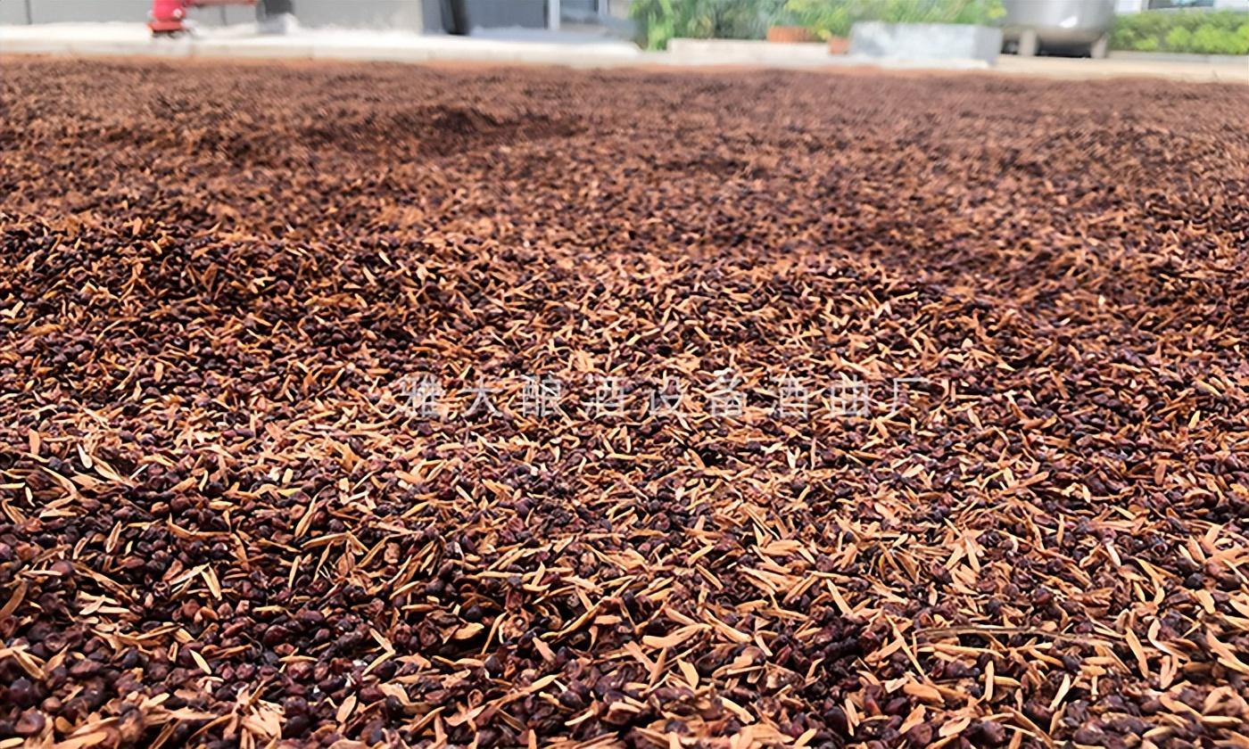 致富经酿酒技术视频_酿酒养殖致富方案_致富酿酒养殖方案设计
