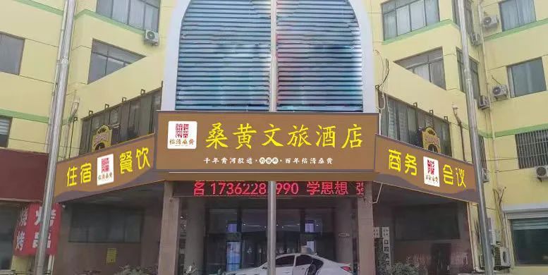 种植桑黄的功效与作用_桑黄种植技术价格_桑黄种植技术资料