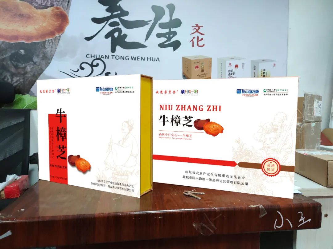 种植桑黄的功效与作用_桑黄种植技术资料_桑黄种植技术价格