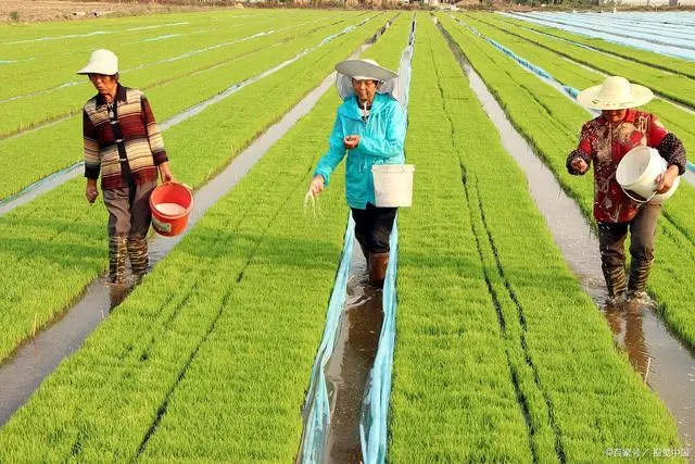 养殖致富的路线_致富养殖业_致富养殖路线图片