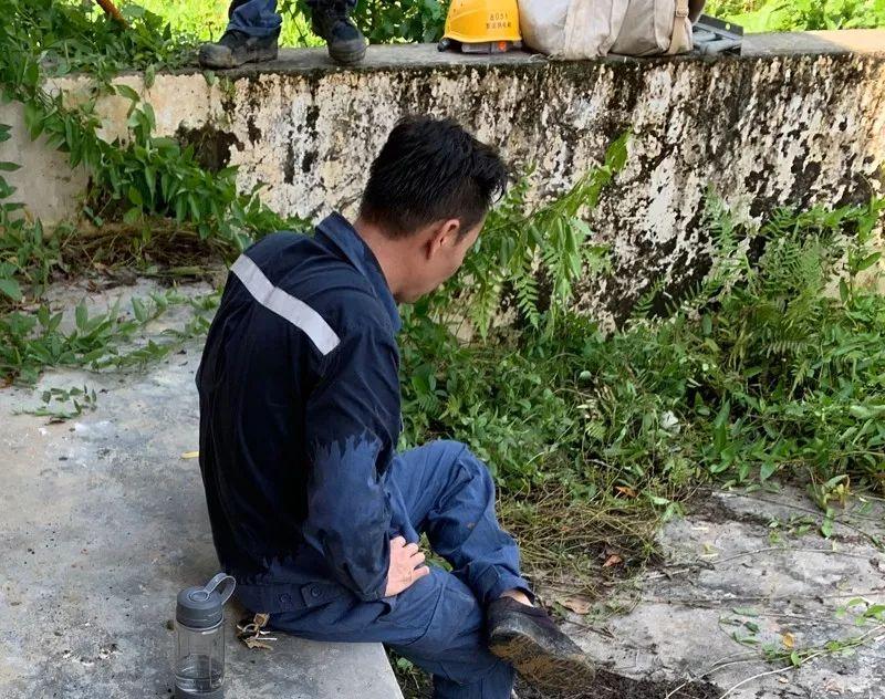 叉尾养殖技术_致富经养叉尾视频_叉尾养殖视频教程