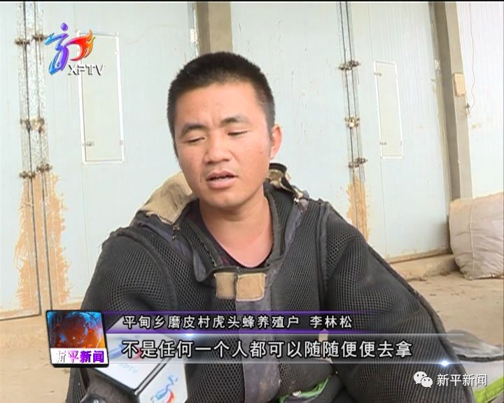 山区养殖致富_山区养殖什么致富项目_山区养殖业什么最赚钱农村