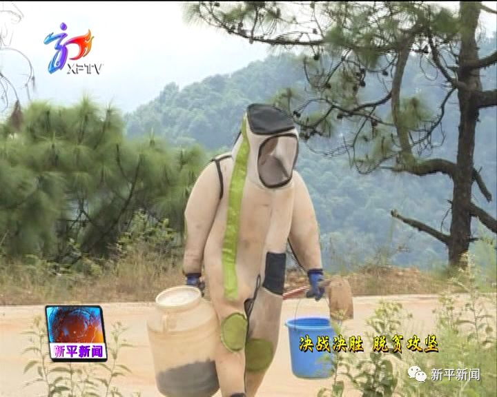山区养殖致富_山区养殖什么致富项目_山区养殖业什么最赚钱农村