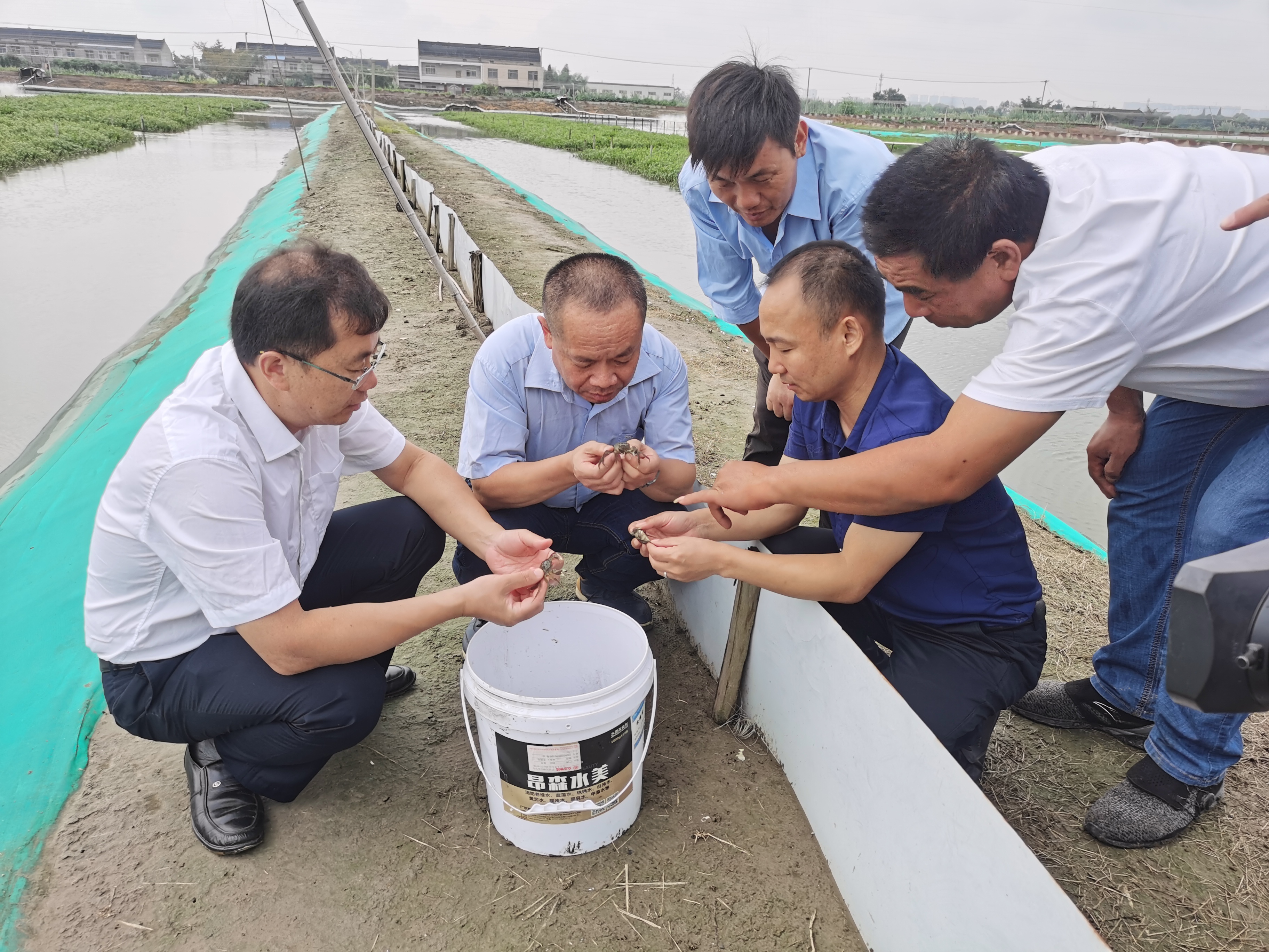 獭兔养殖致富案例_养殖獭兔效益怎么样_养殖獭兔赚钱吗