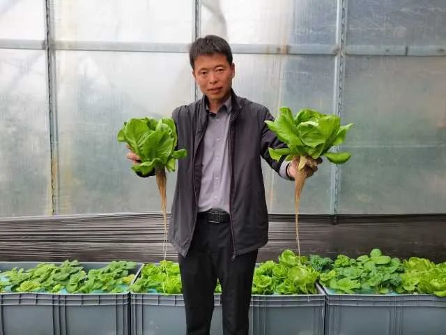 叉尾养殖技术_致富经养叉尾视频_叉尾养殖模式