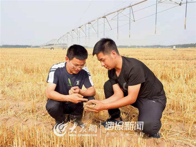 致富硕士养殖夫妻视频_硕士夫妻养殖致富_致富养殖业
