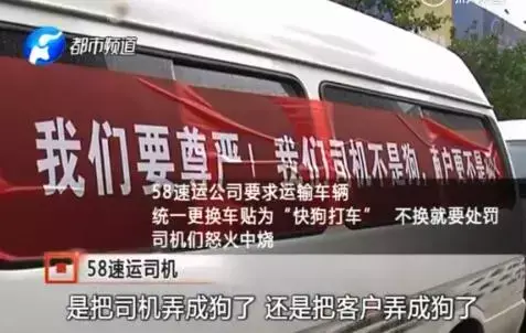 周口水蛭养殖_商丘水蛭养殖_河南新乡水蛭养殖技术