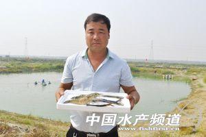 天津武清罗氏沼虾养殖成功