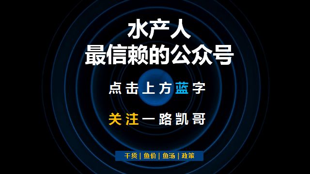 黄颡鱼暴涨1.5元/斤！草鱼种最高涨0.5元/斤！或引发新一轮涨价潮！