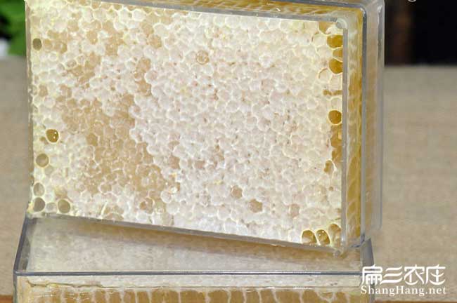 福建蜂蜜批发