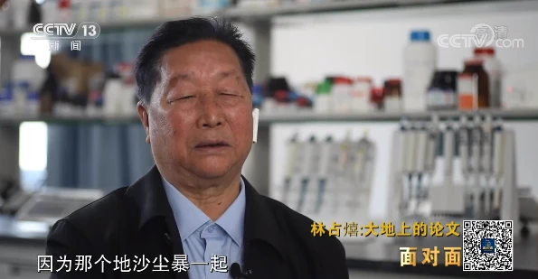 致富种植菜心芥蓝怎么种_菜心芥蓝_种植芥蓝菜心致富