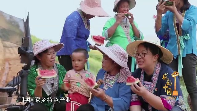 广东紫珠种植效益_紫珠种植致富项目_紫珠养殖