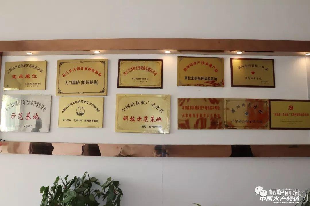 鲈鱼孵化养殖技术_孵化养殖鲈鱼技术视频_鲈鱼孵化技术视频