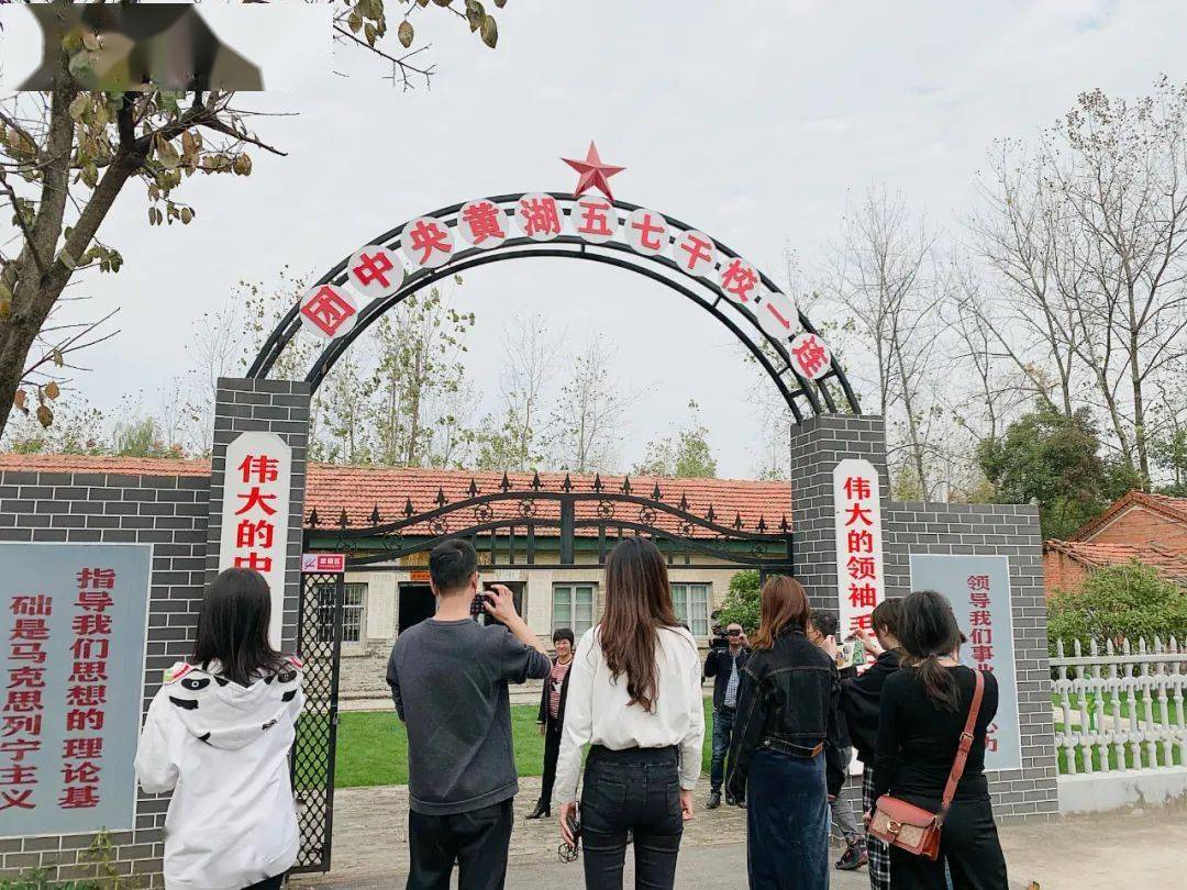 白鹅养殖致富能手_养殖白鹅赚钱吗_白鹅养殖场