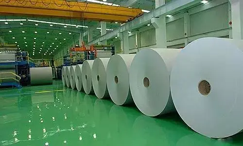 收废品起家的女富豪_致富经收废品致富的女人_收废品致富的故事