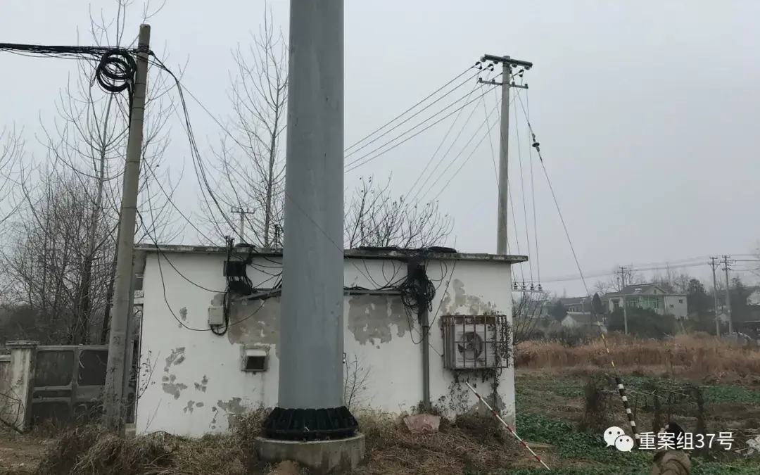 大棚养殖黄鳝技术刘军_大棚养殖黄鳝技术刘军_大棚养殖黄鳝技术刘军
