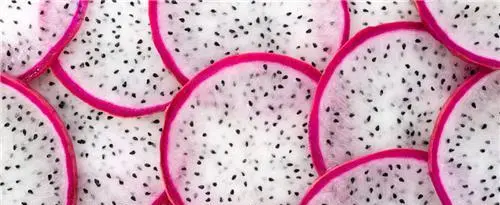 红心火龙果致富经_火龙果红心的价格_红心火龙果果