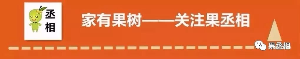 种植樱桃修剪技术视频_樱桃种植技术与管理视频_樱桃的修剪视频