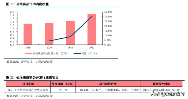 白鸡养殖技术_养白鸡什么意思_养鸡场的白鸡