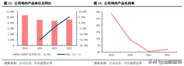 养鸡场的白鸡_养白鸡什么意思_白鸡养殖技术