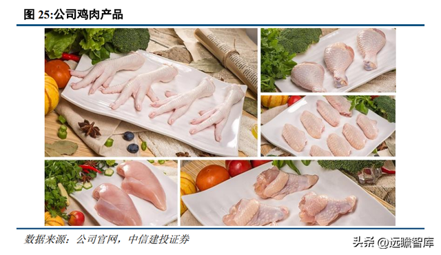 养白鸡什么意思_白鸡养殖技术_养鸡场的白鸡