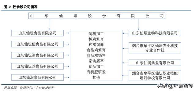 养白鸡什么意思_白鸡养殖技术_养鸡场的白鸡