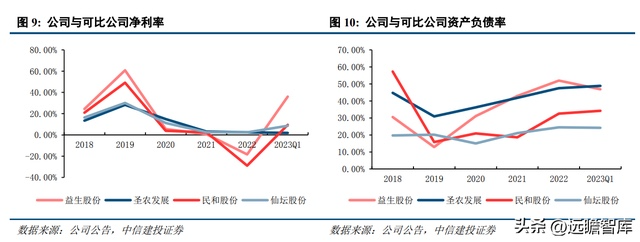 养鸡场的白鸡_白鸡养殖技术_养白鸡什么意思
