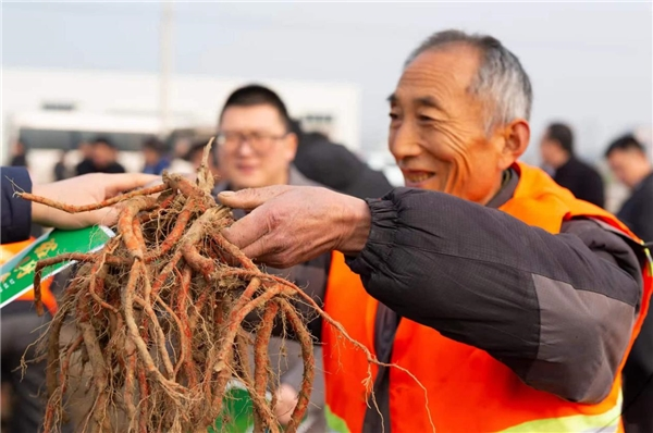 河南方城县：做大做强中医药产业链