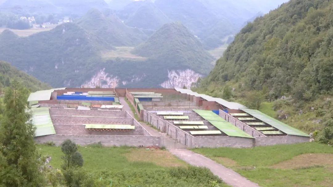 养殖致富门路_养殖大户致富_致富项目养殖